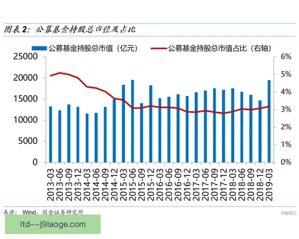 围绕国家队球员最新伤停动态的全景深度解析及未来比赛影响研判